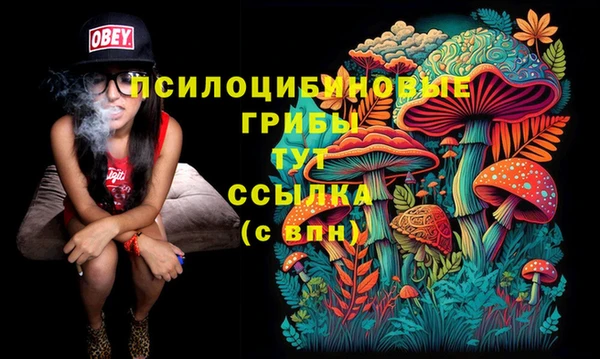 винт Аркадак