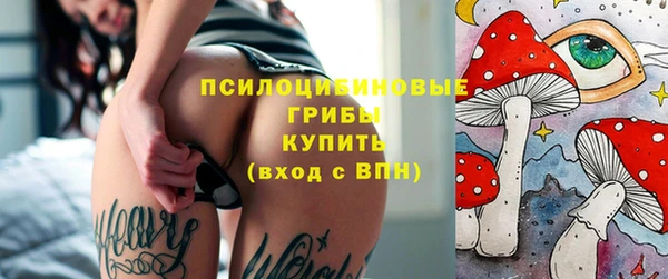 мдпв Армянск