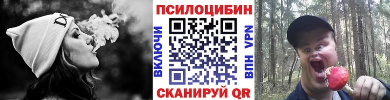 магазин наркотиков Руза Галлюциногенные грибы мицелий